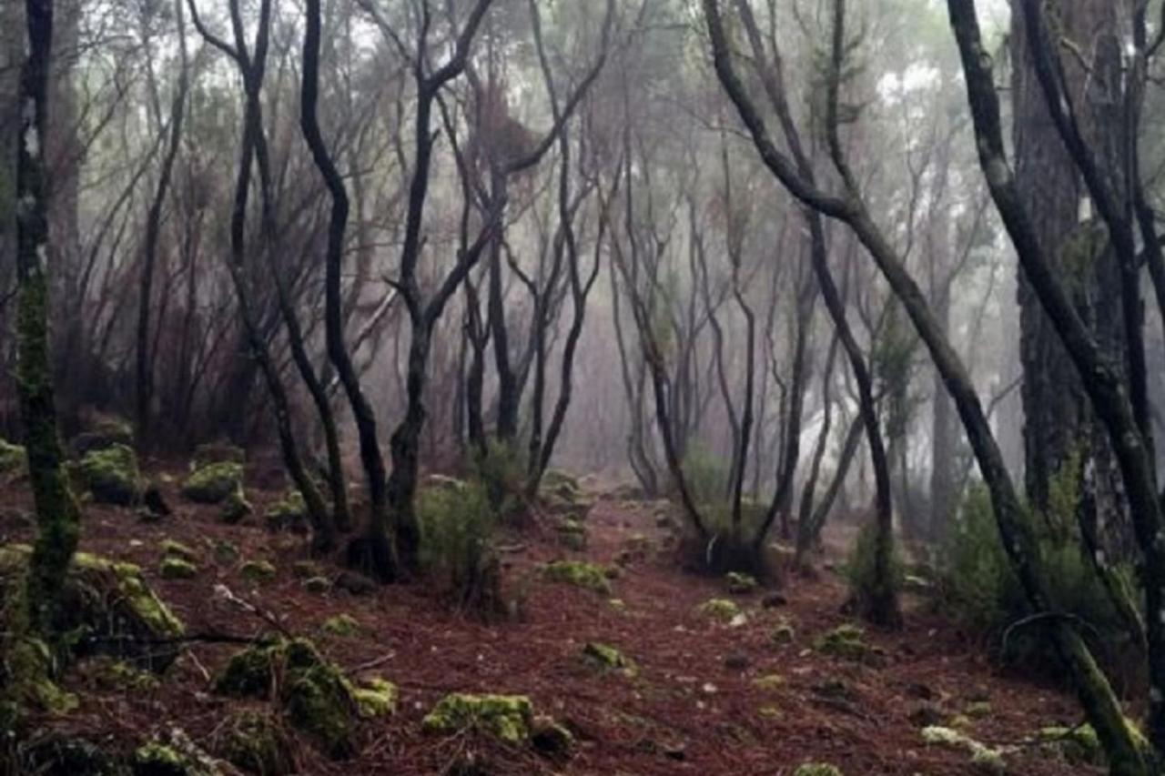 La Casita De Descanso - Das Haeuschen Der Ruhe - La Luz - La Orotava Exteriér fotografie