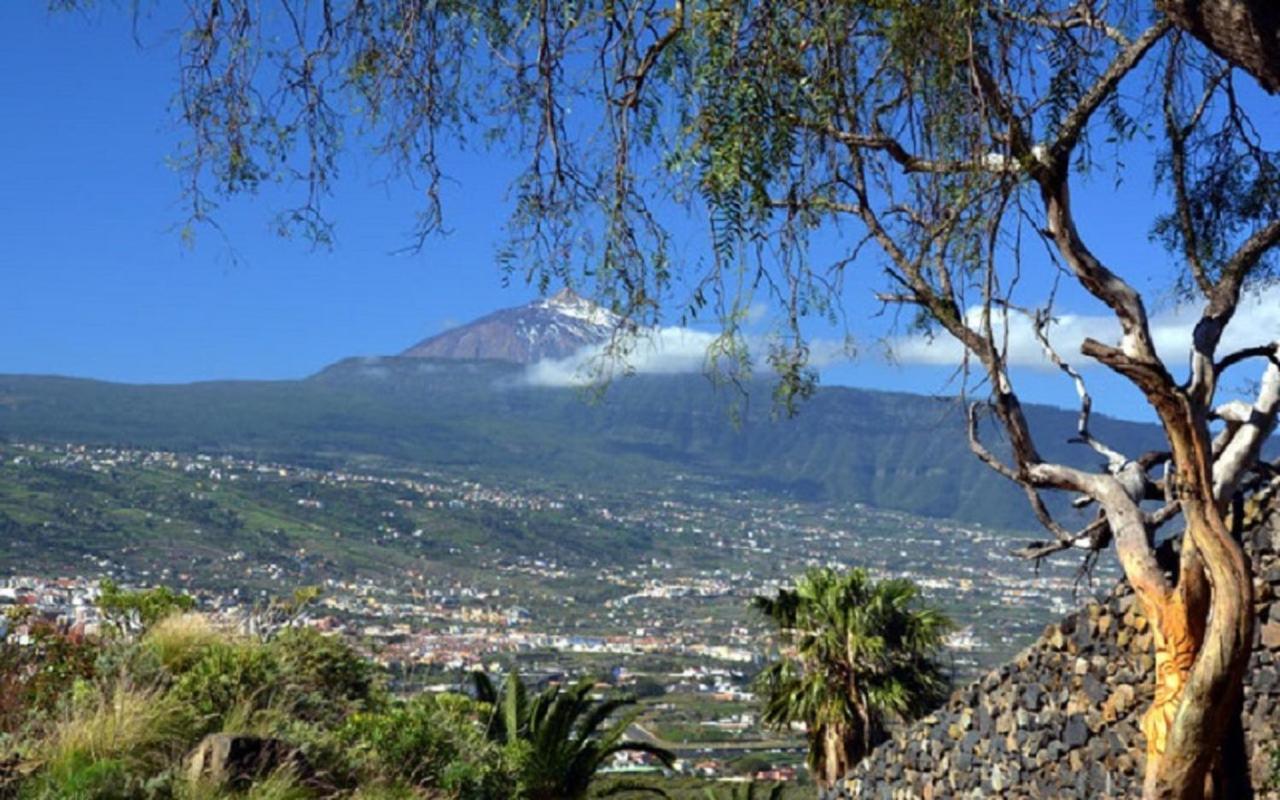 La Casita De Descanso - Das Haeuschen Der Ruhe - La Luz - La Orotava Exteriér fotografie